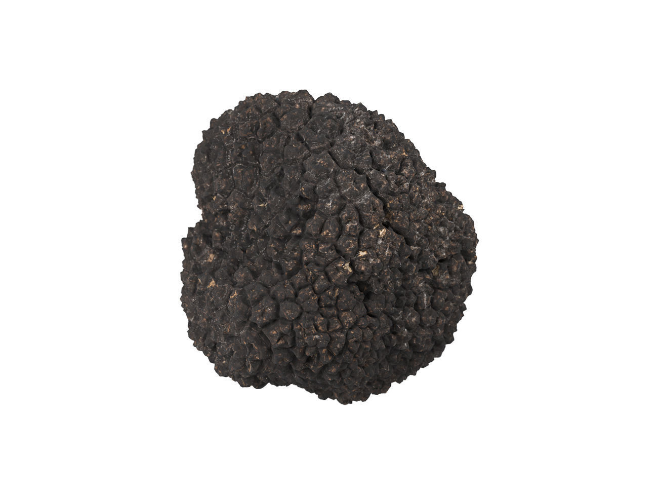 Photorealistic Truffle 3D Scan 3D model_4