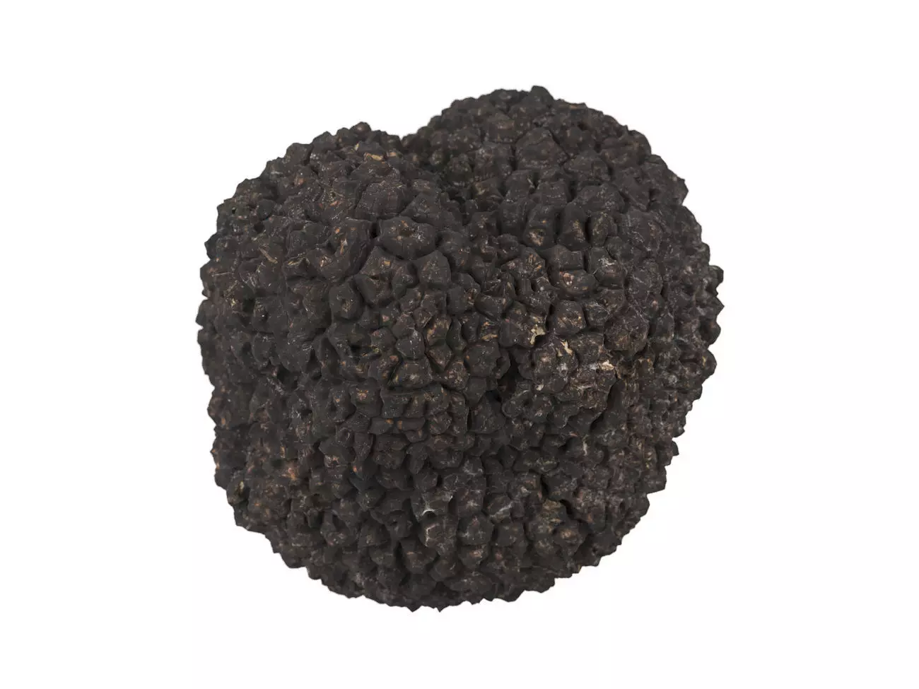 Photorealistic Truffle 3D Scan 3D model_0