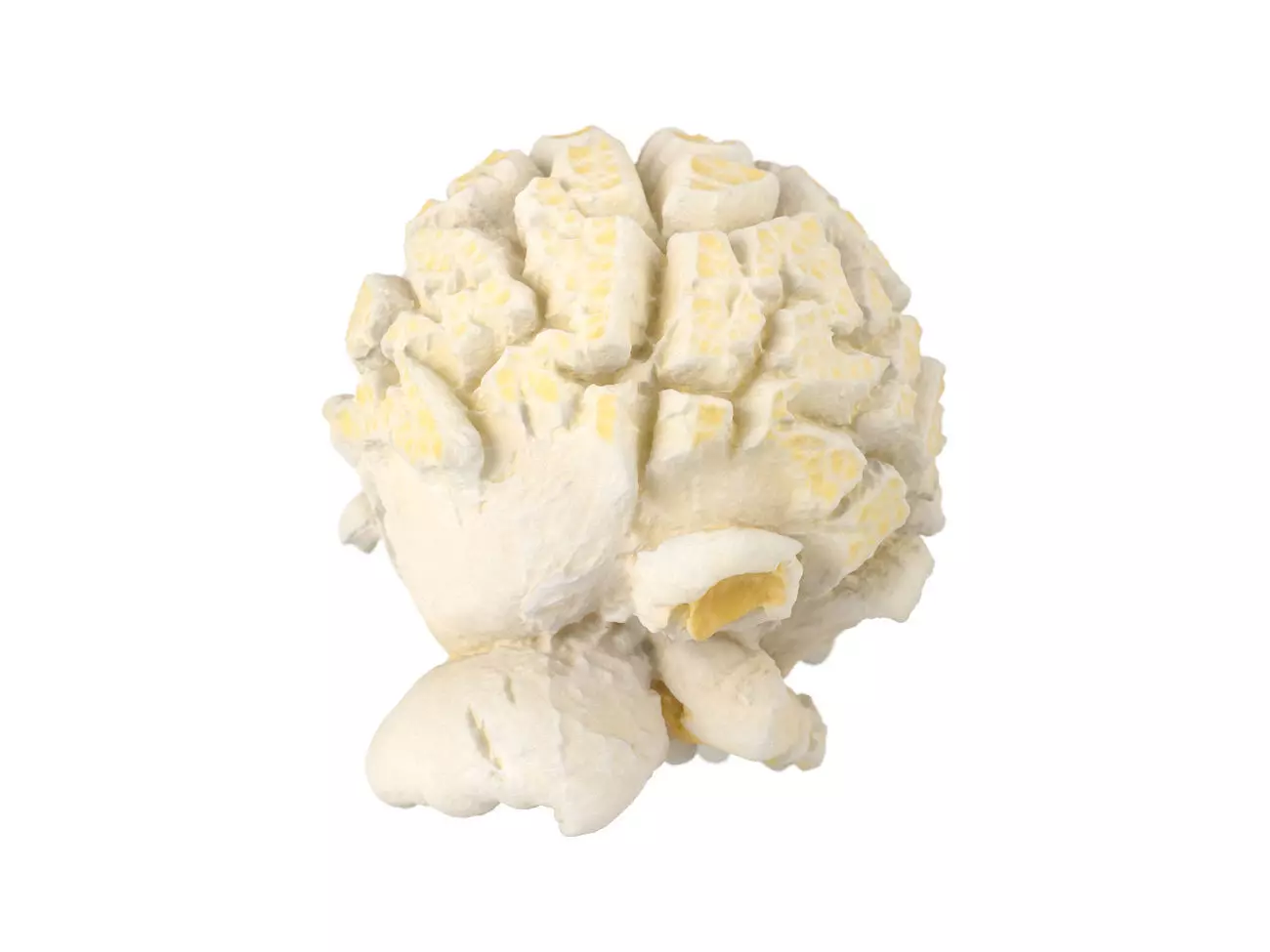 Photorealistic Popcorn 3D Scan 3D model_0