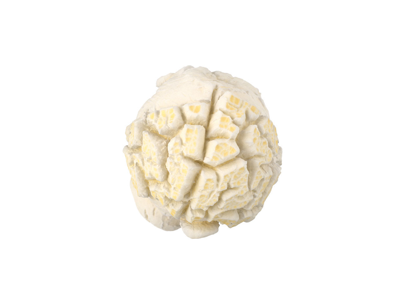 Photorealistic Popcorn 3D Scan 3D model_4