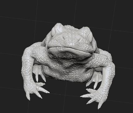 Green Frog 3D model_7