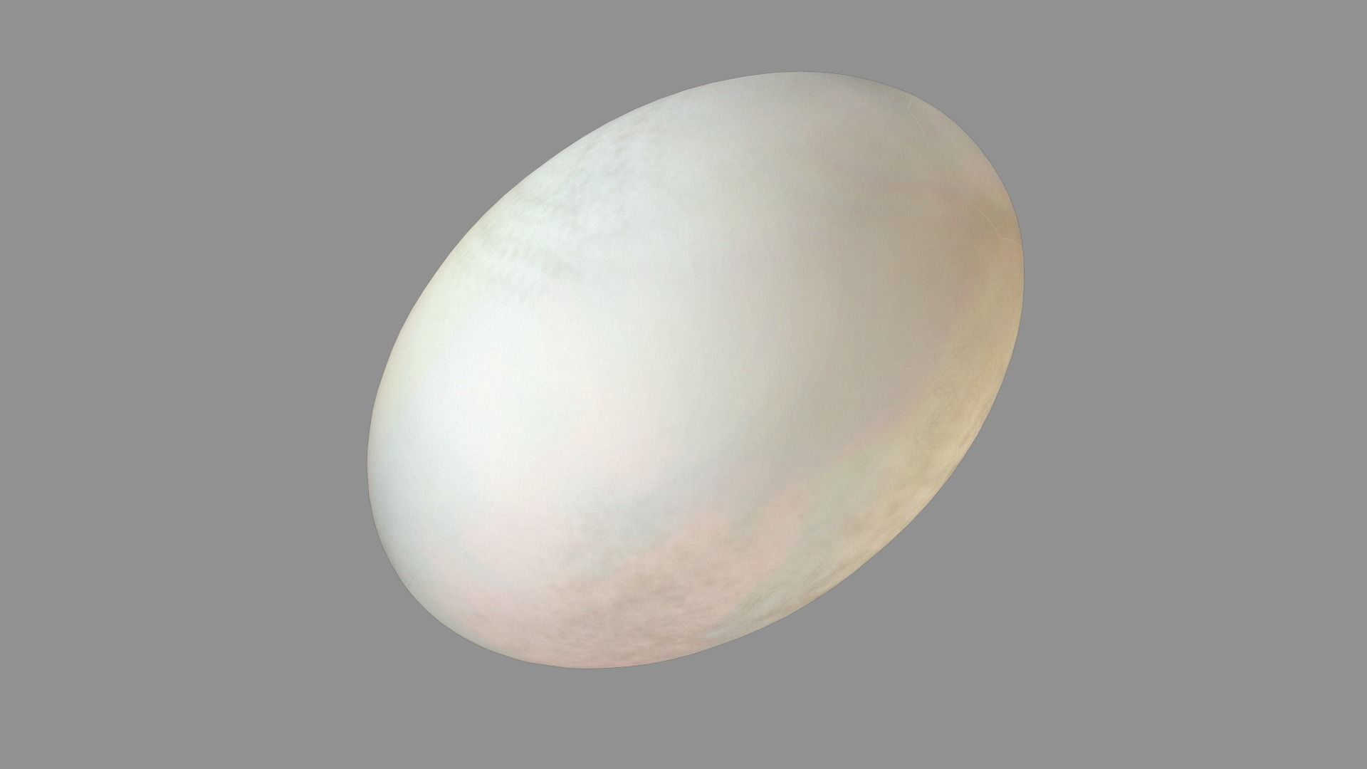 EggA Stylized Low-poly 3D model_4