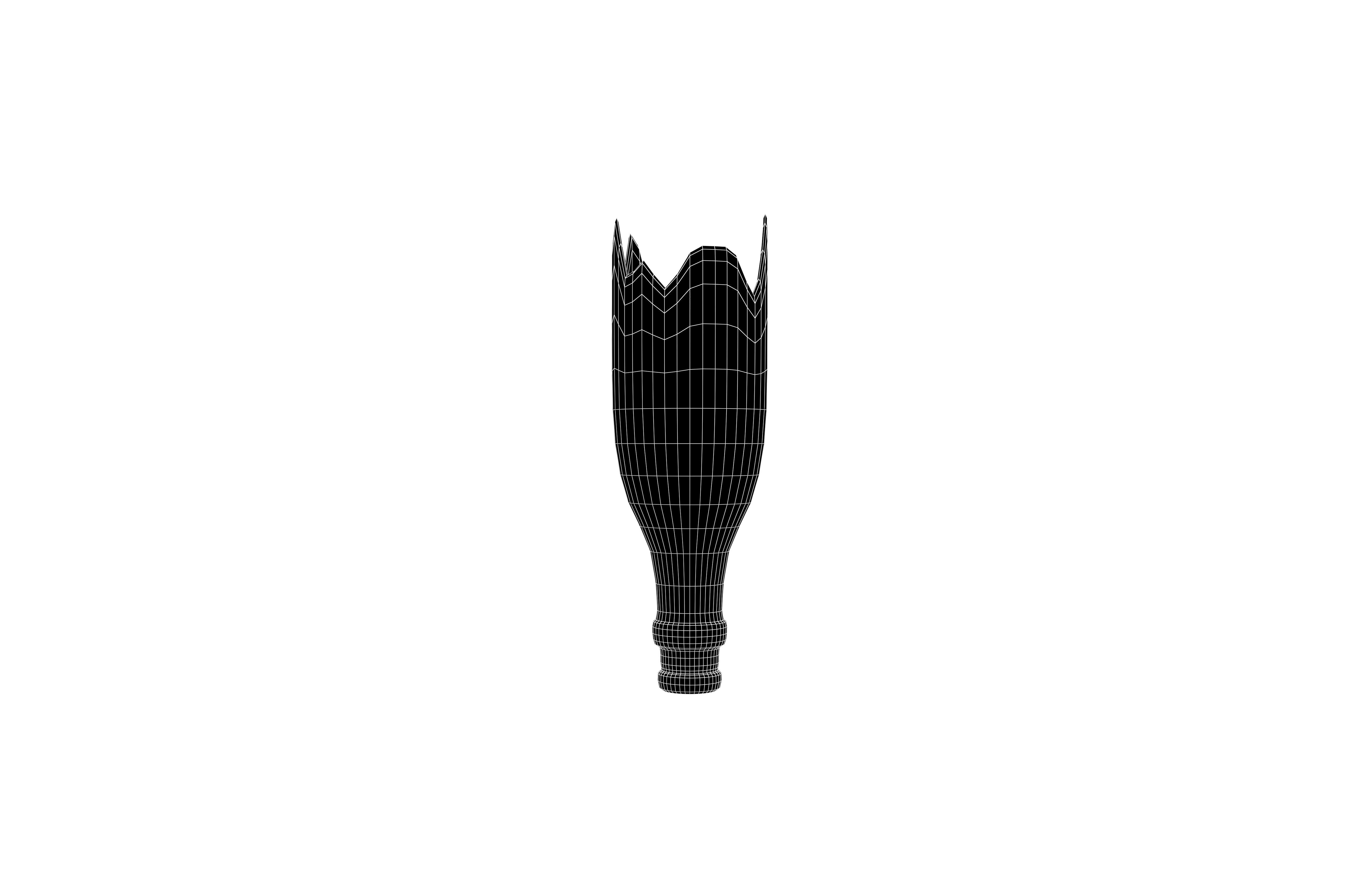 Broken Bottle v1 001 Low-poly 3D model_6