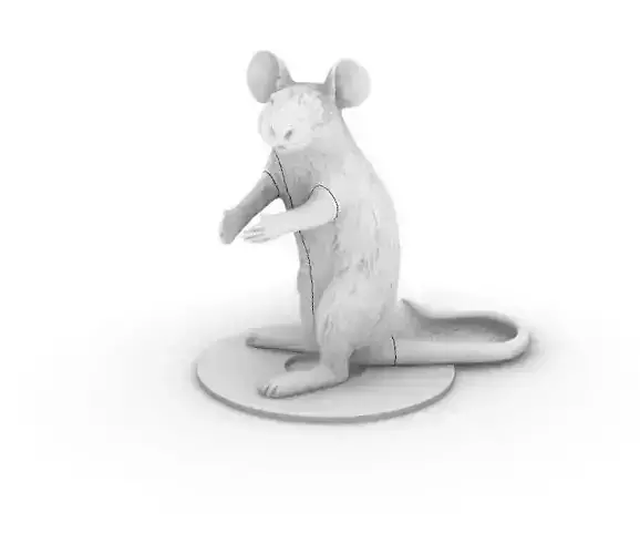 3D printer tiny mouse