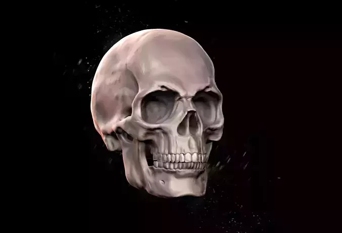 Human Skull Man