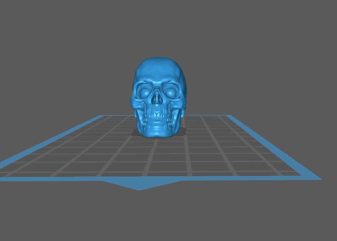 Skull Head 3D print model_9