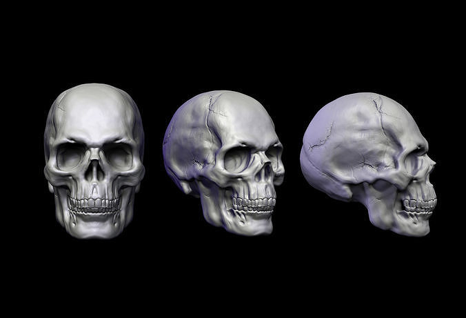 Skull Head 3D print model