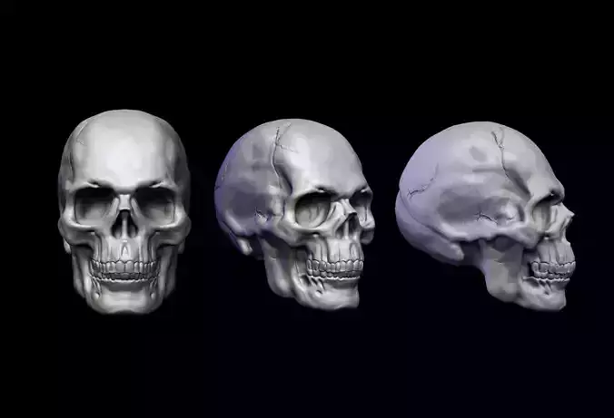 Skull Head 3D print model
