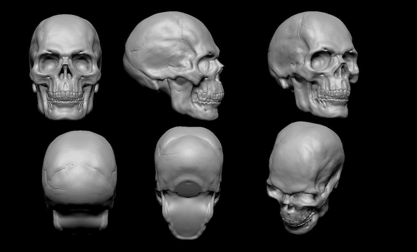 Skull Head 3D print model_4