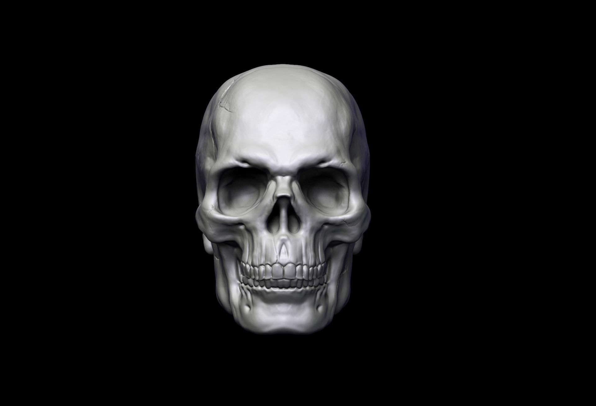 Skull Head 3D print model_2