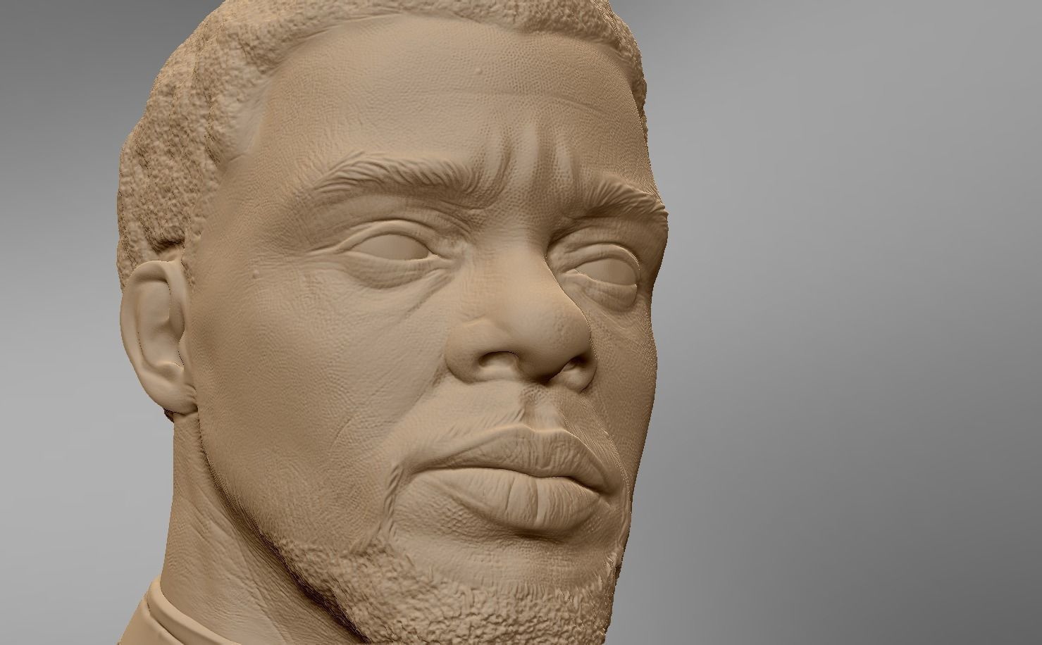 Chadwick Boseman BlackPanther T Challa 3D print model_8