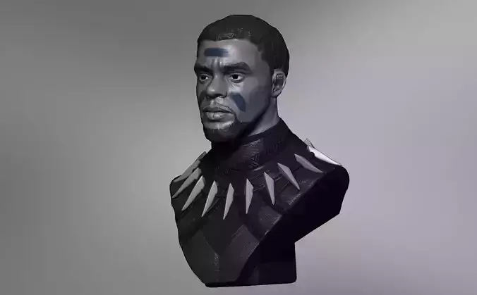 Chadwick Boseman BlackPanther T Challa