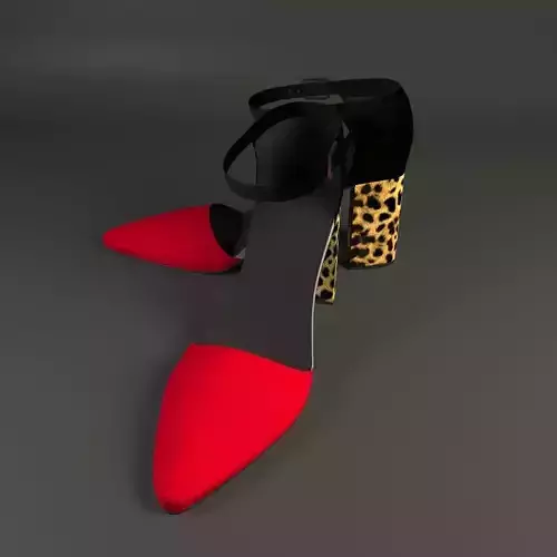 Shoes pair of leopard heels