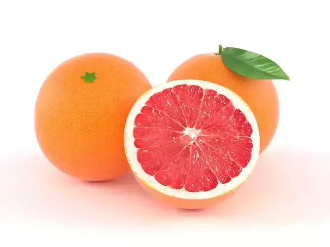 Grapefruit orange with leaf 3D model