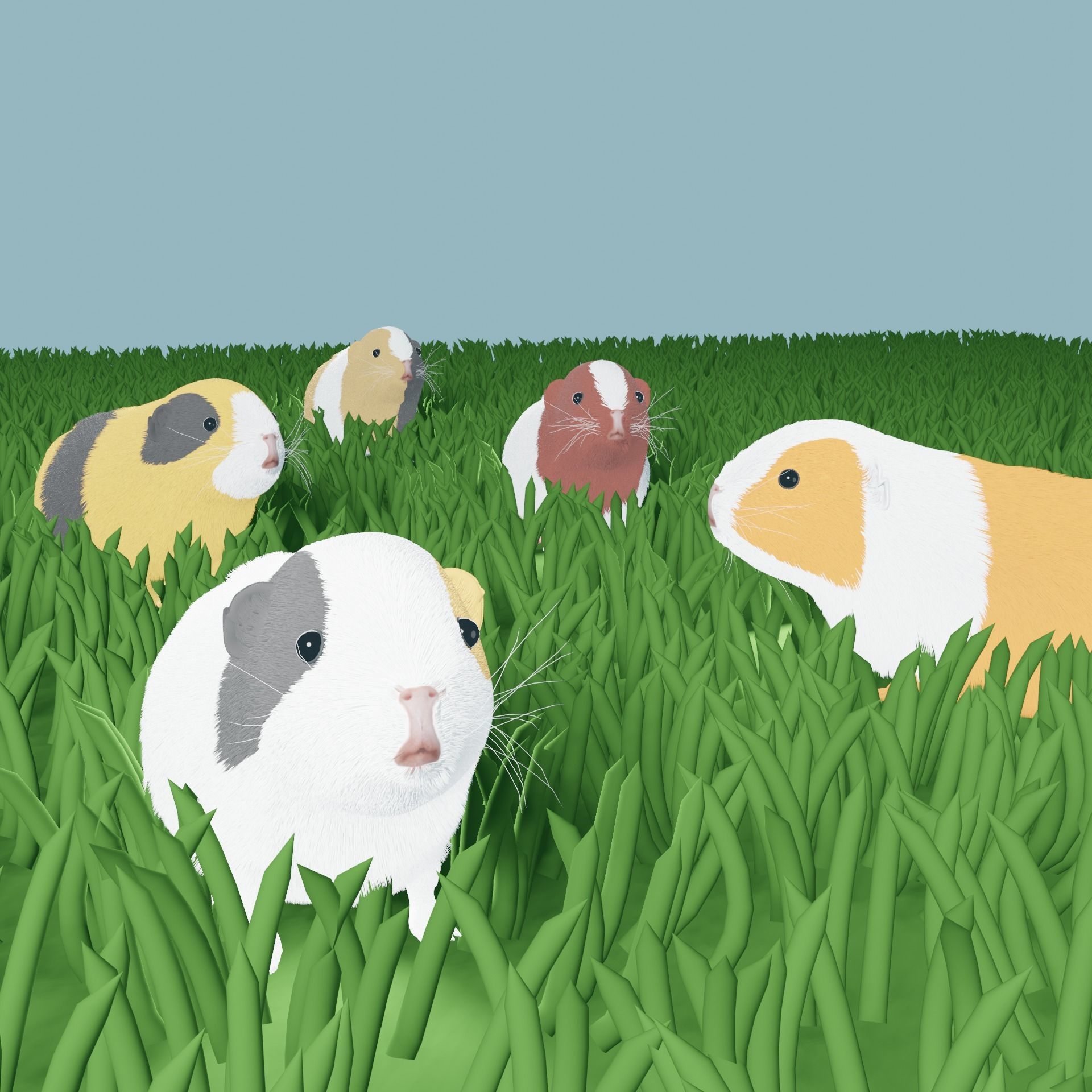 Guinea pig Free 3D model_0
