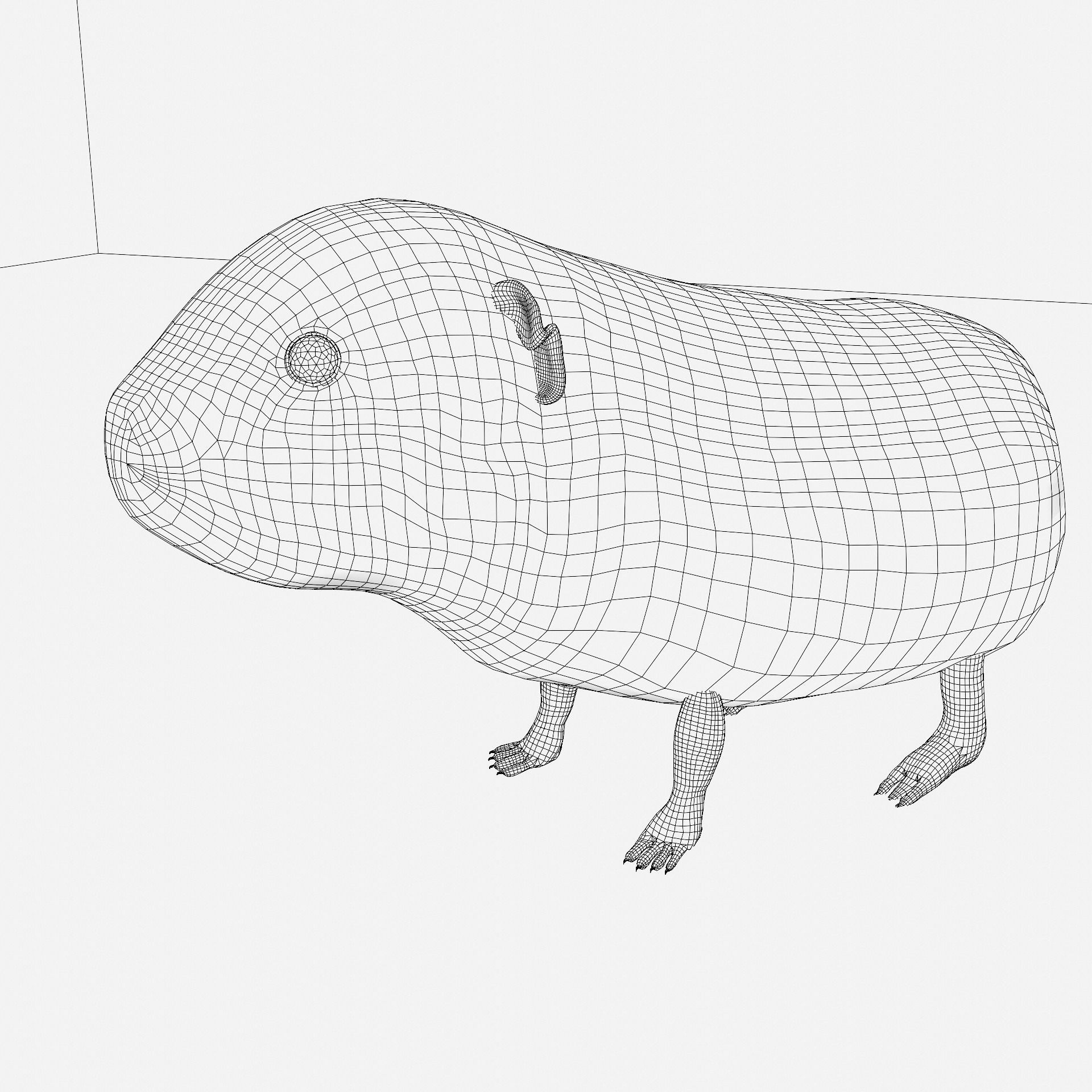Guinea pig Free 3D model_23