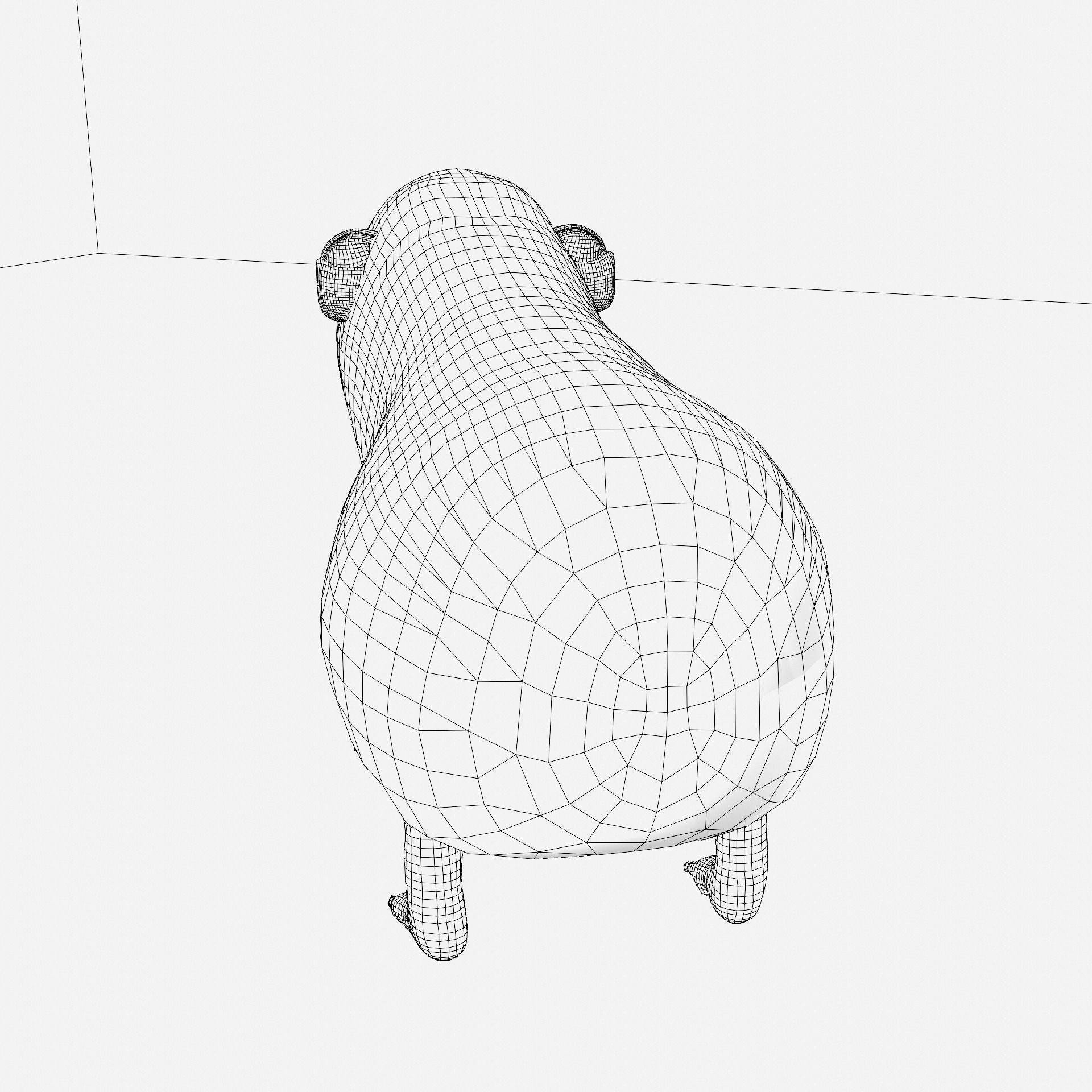 Guinea pig Free 3D model_21
