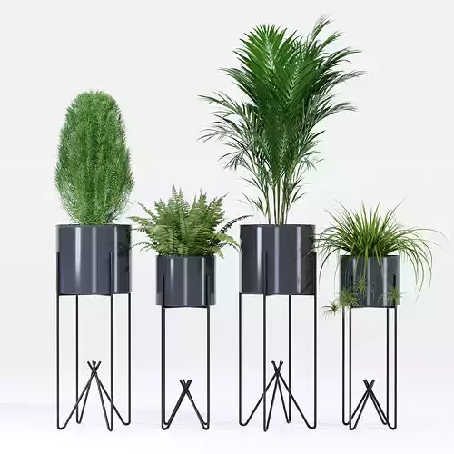 Erdmann four planters