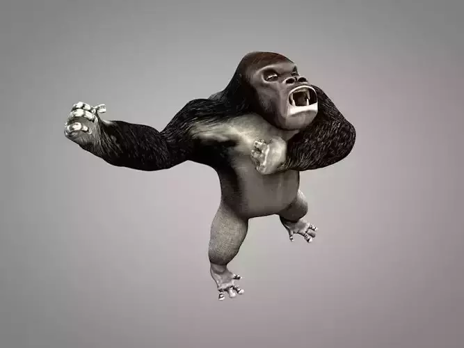 Gorilla