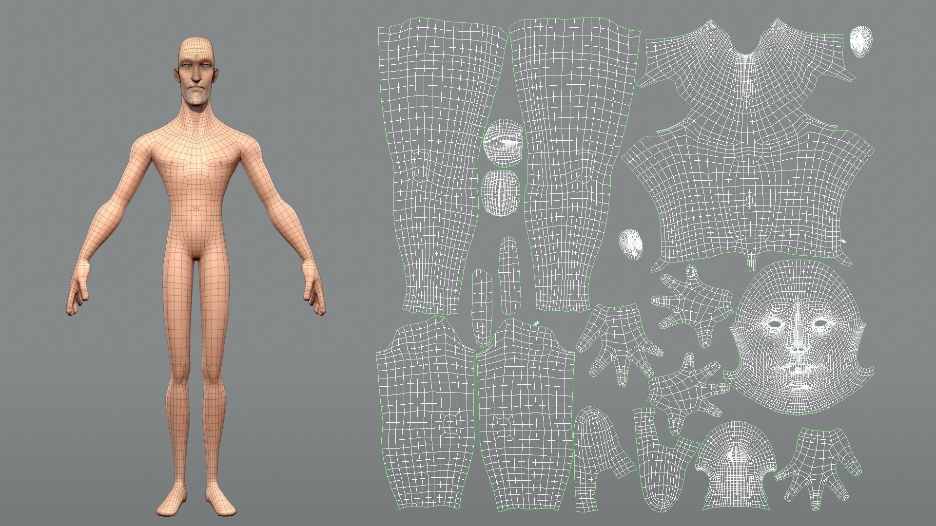 Cartoon male character Edward base mesh Low-poly 3D model_9
