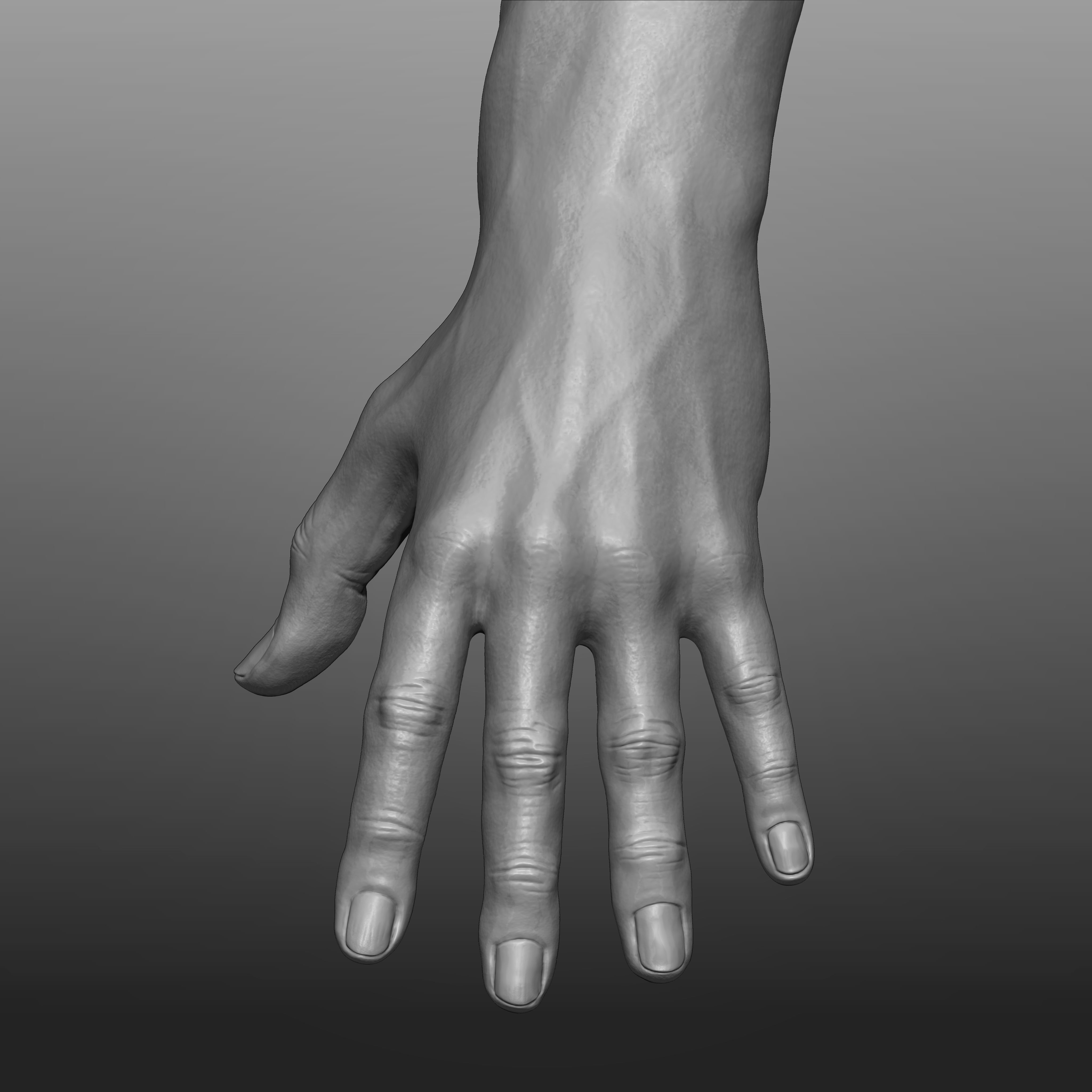 Human Body Anatomy Base Mesh Low-poly 3D model_5