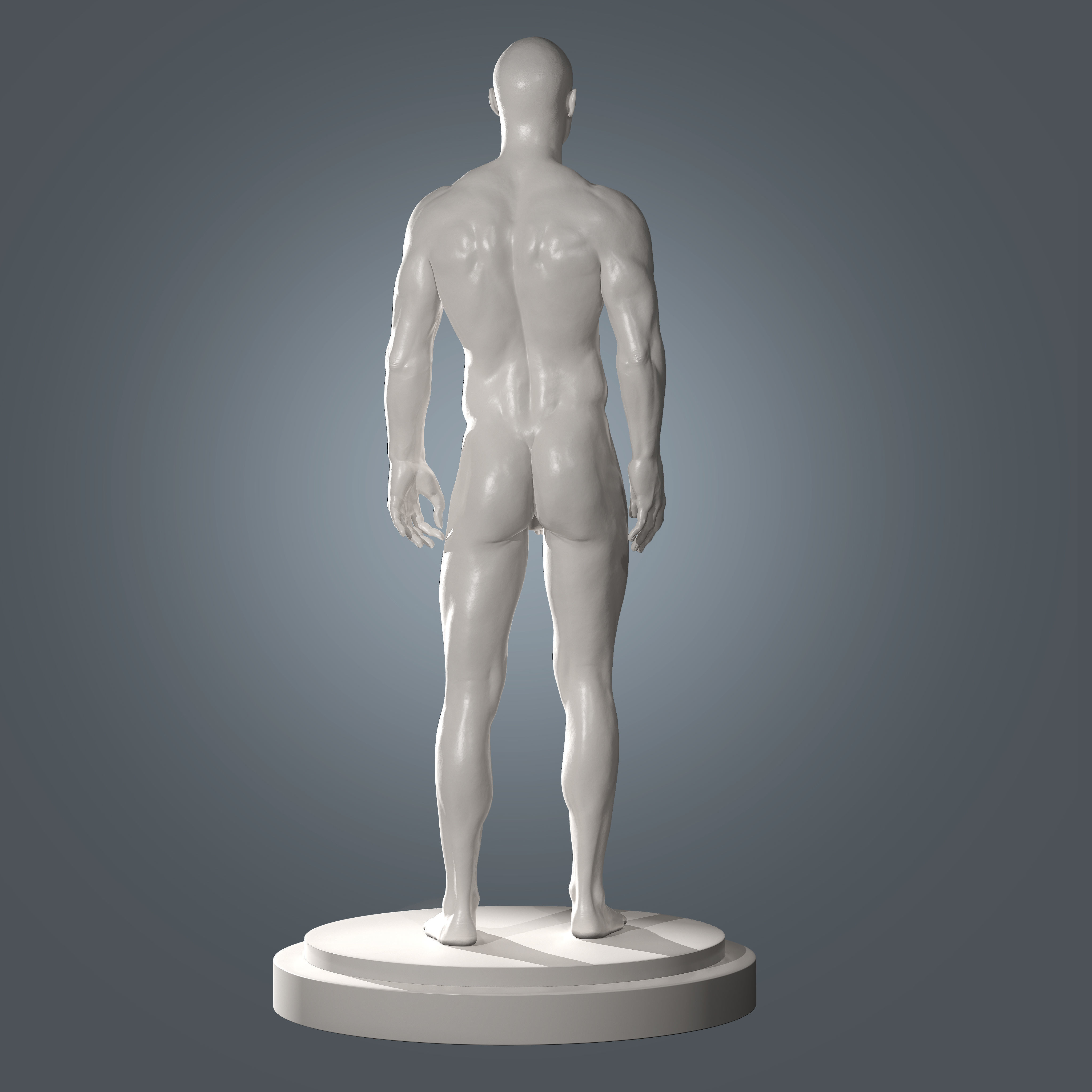 Human Body Anatomy Base Mesh Low-poly 3D model_2