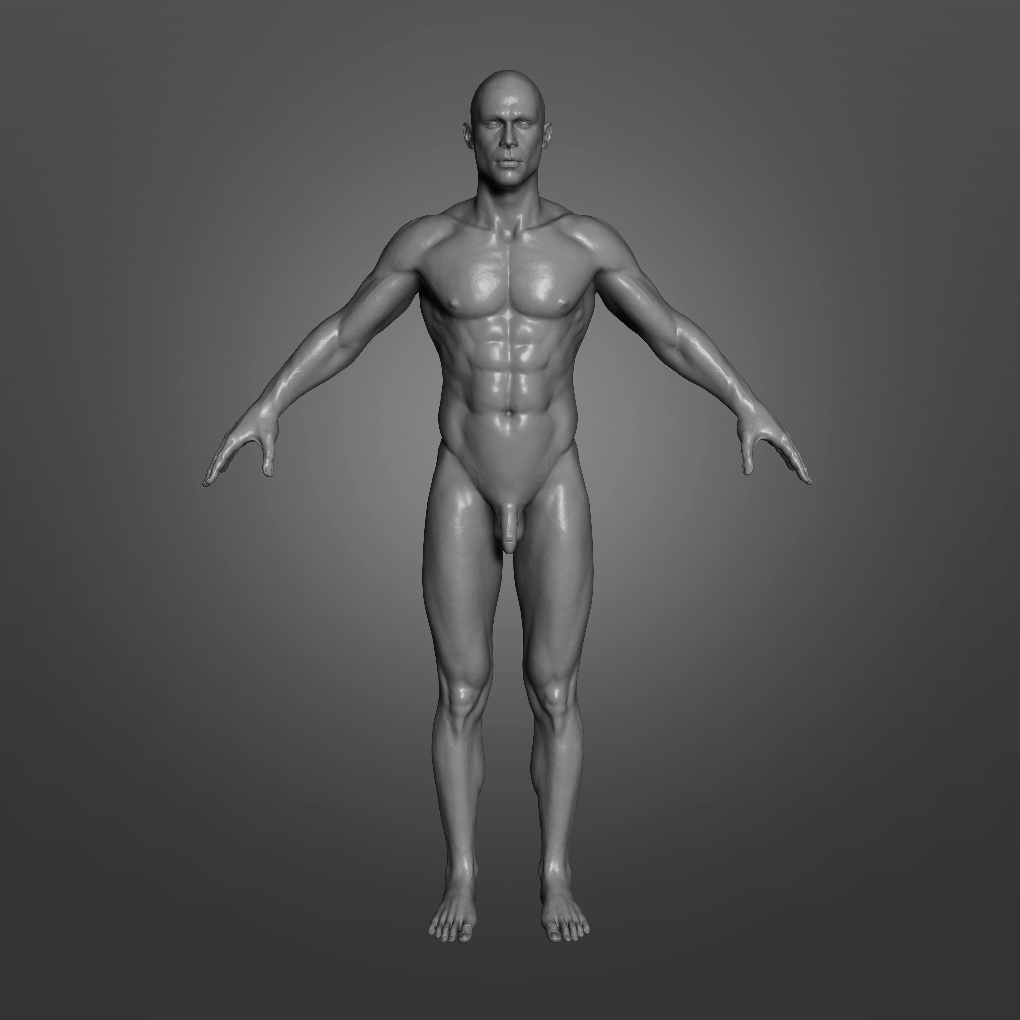 Human Body Anatomy Base Mesh Low-poly 3D model_3