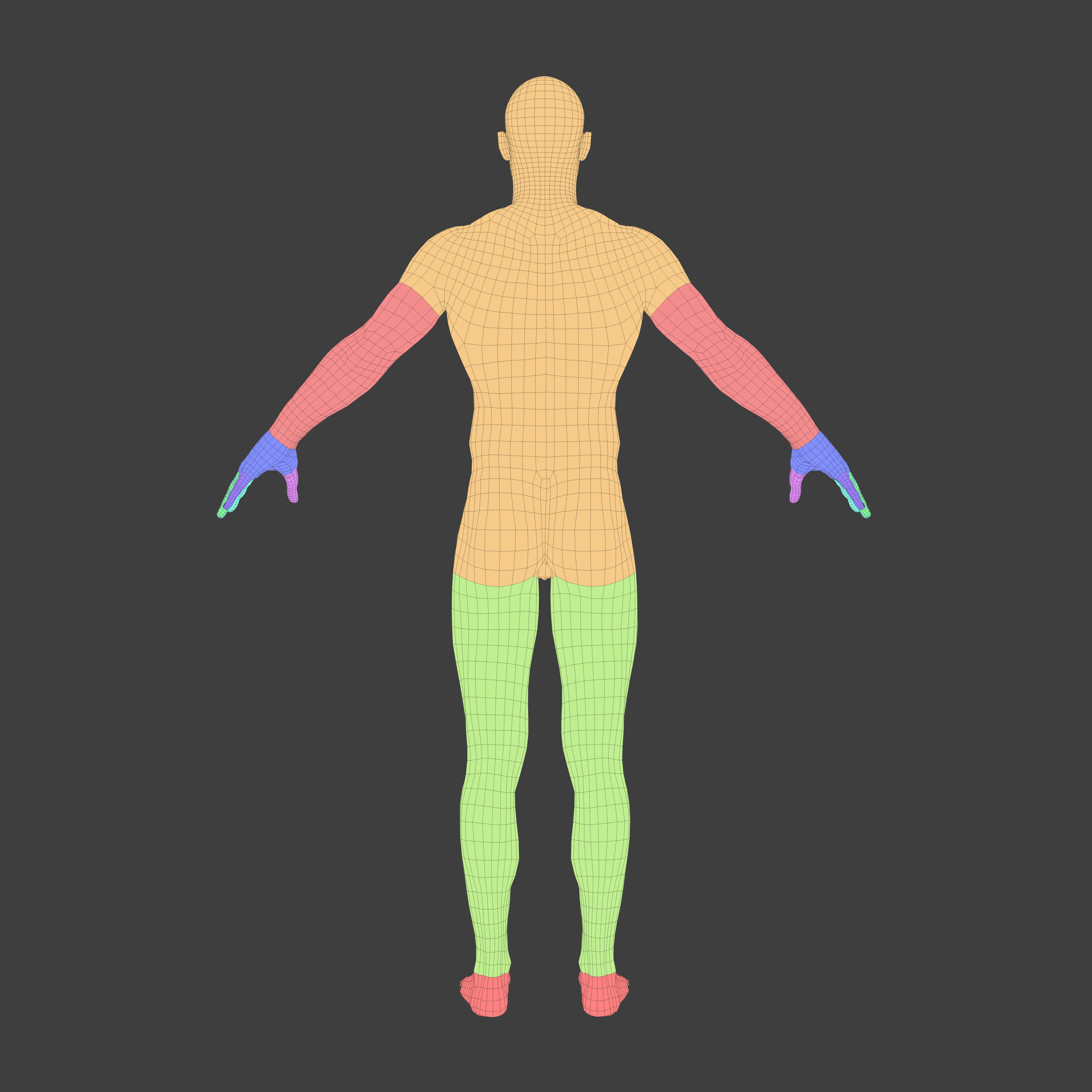 Human Body Anatomy Base Mesh Low-poly 3D model_6