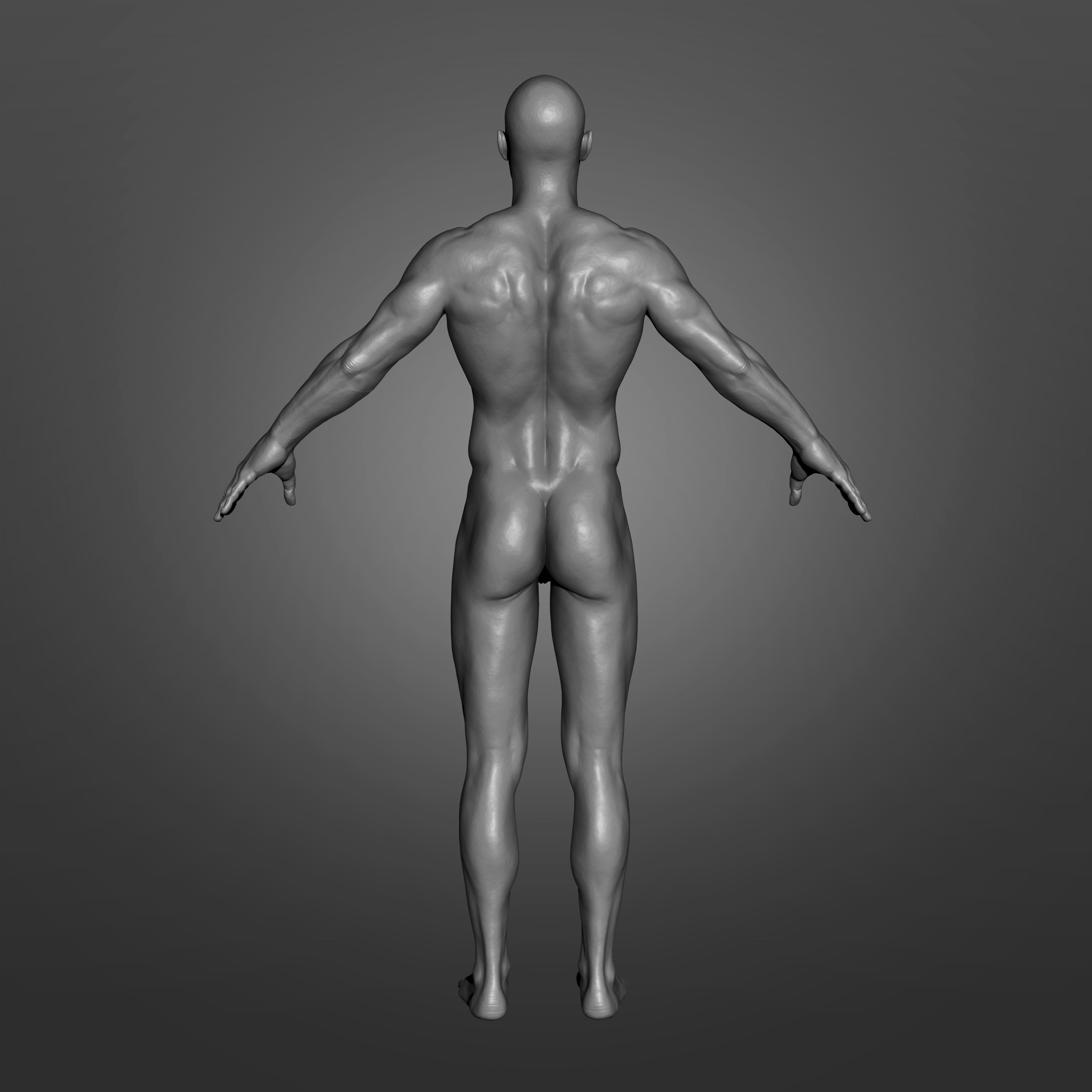 Human Body Anatomy Base Mesh Low-poly 3D model_4