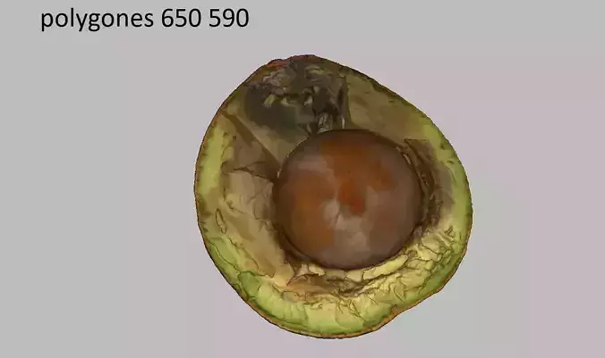 Avocado old rotten used Low-poly 3D model