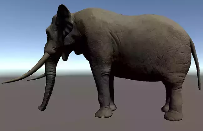 elephant with tusks Low-poly 3D model