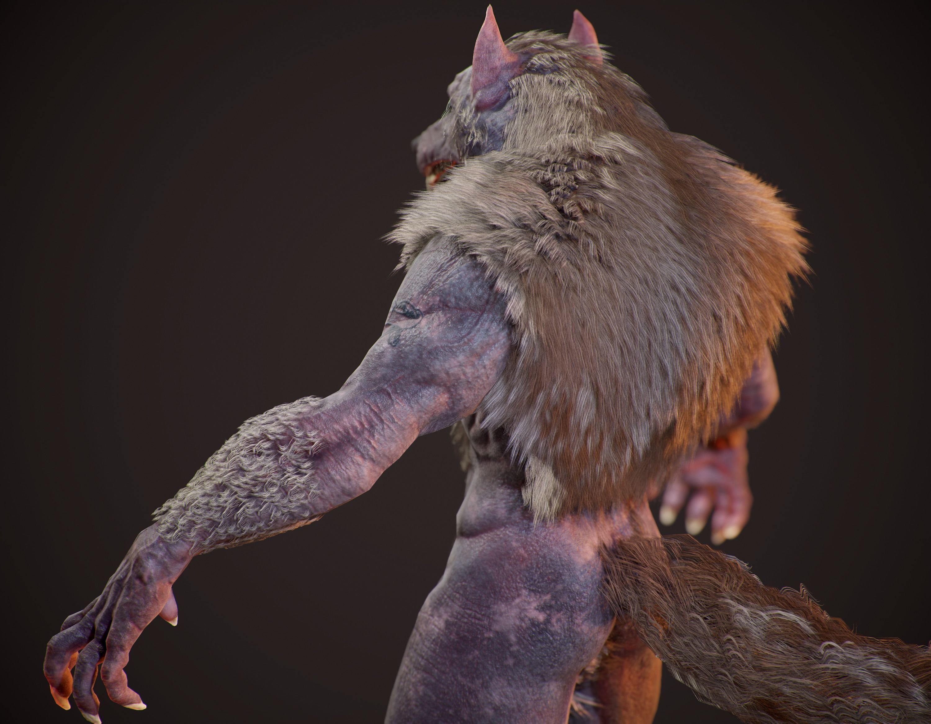 WereWolf Wild Realistic Low-poly 3D model_22