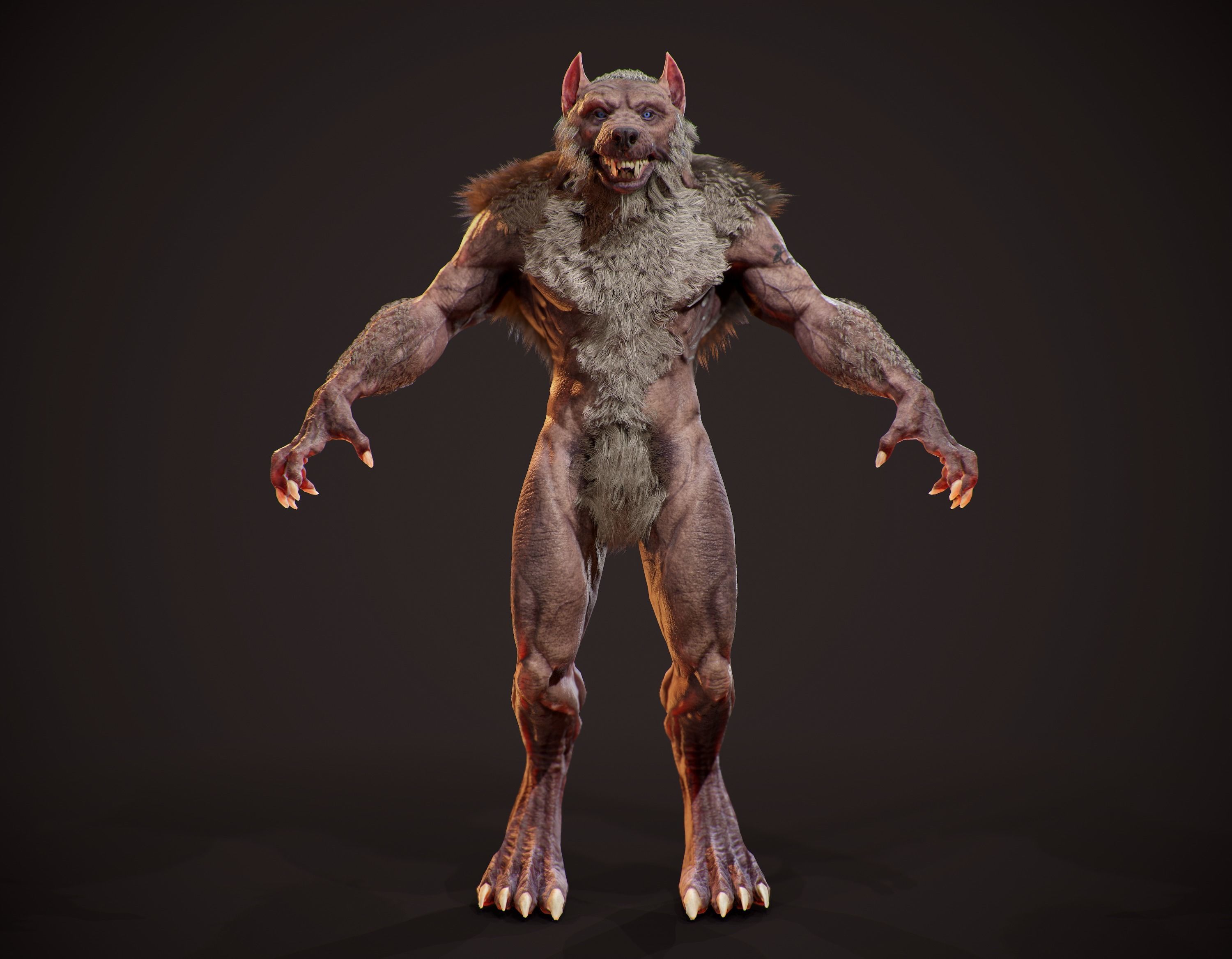 WereWolf Wild Realistic Low-poly 3D model_4