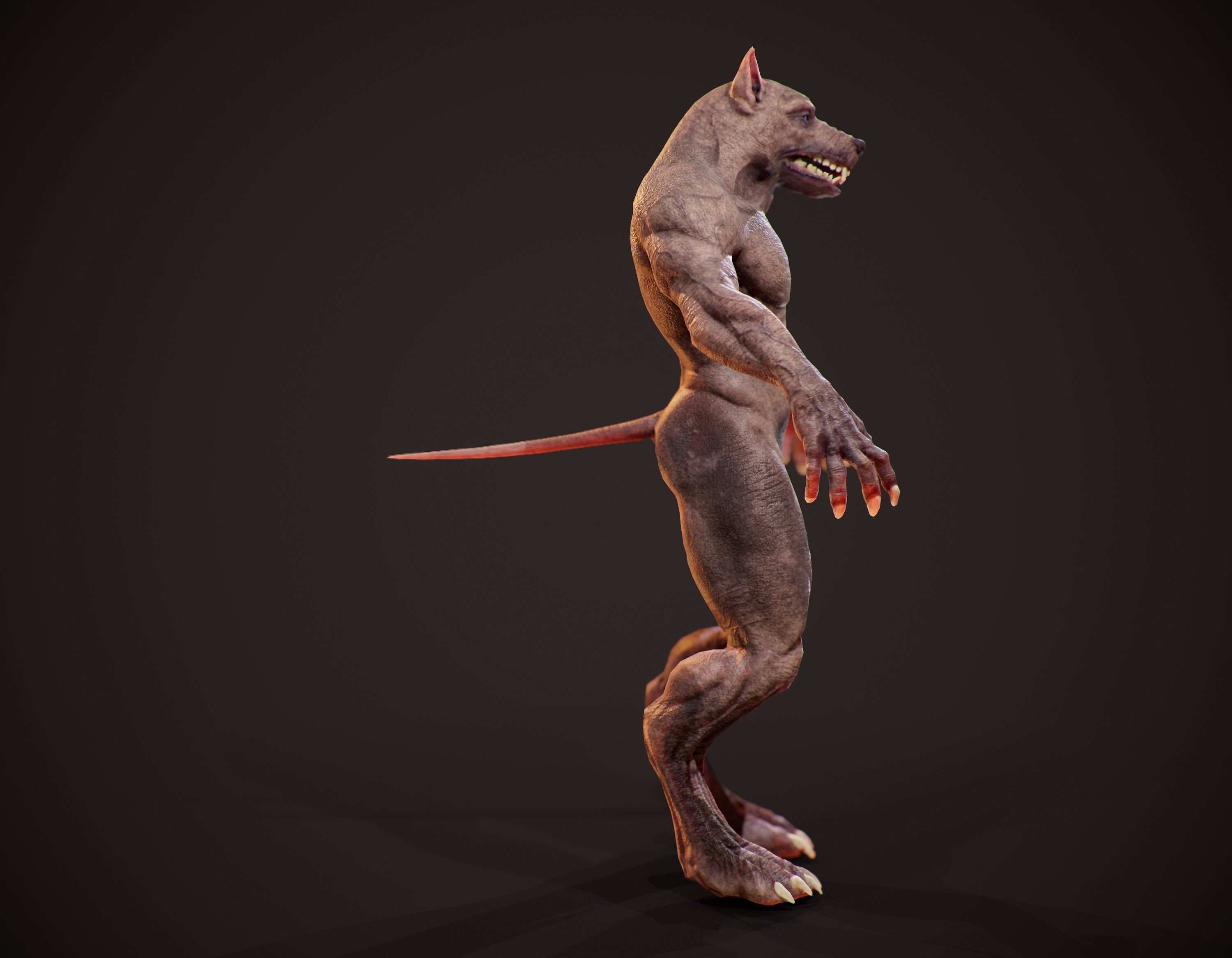 WereWolf Wild Realistic Low-poly 3D model_12