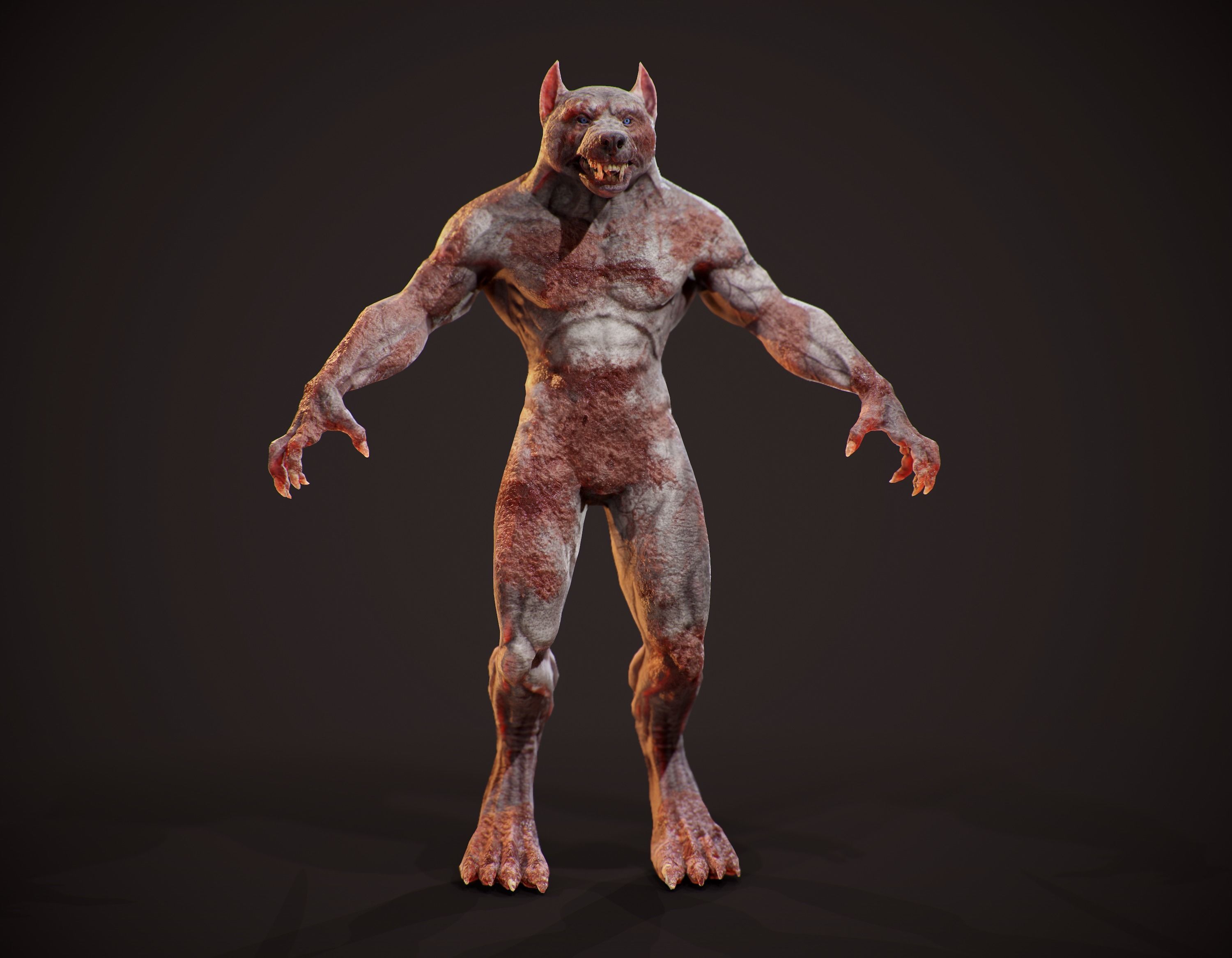 WereWolf Wild Realistic Low-poly 3D model_18