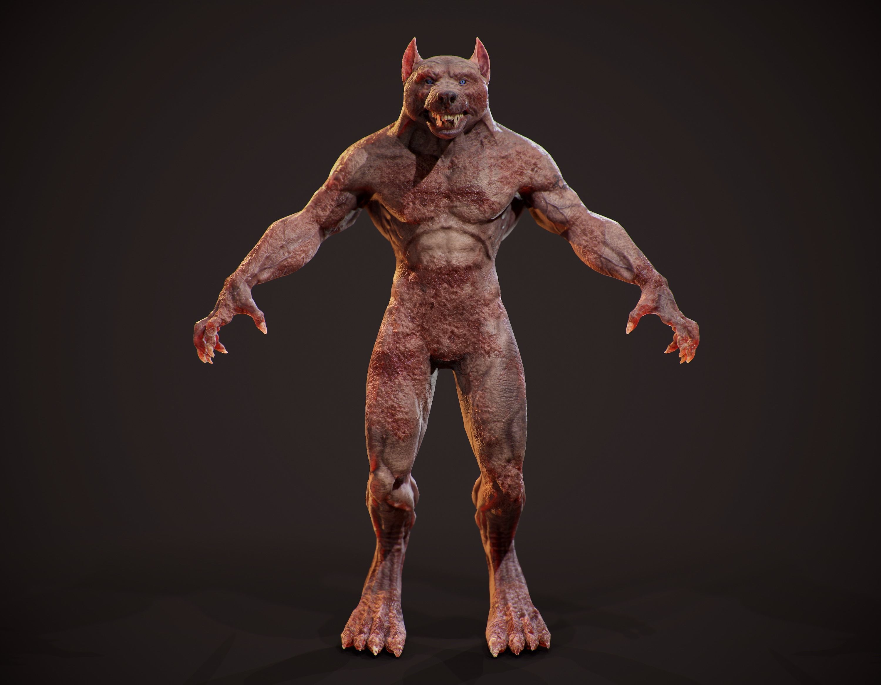 WereWolf Wild Realistic Low-poly 3D model_9