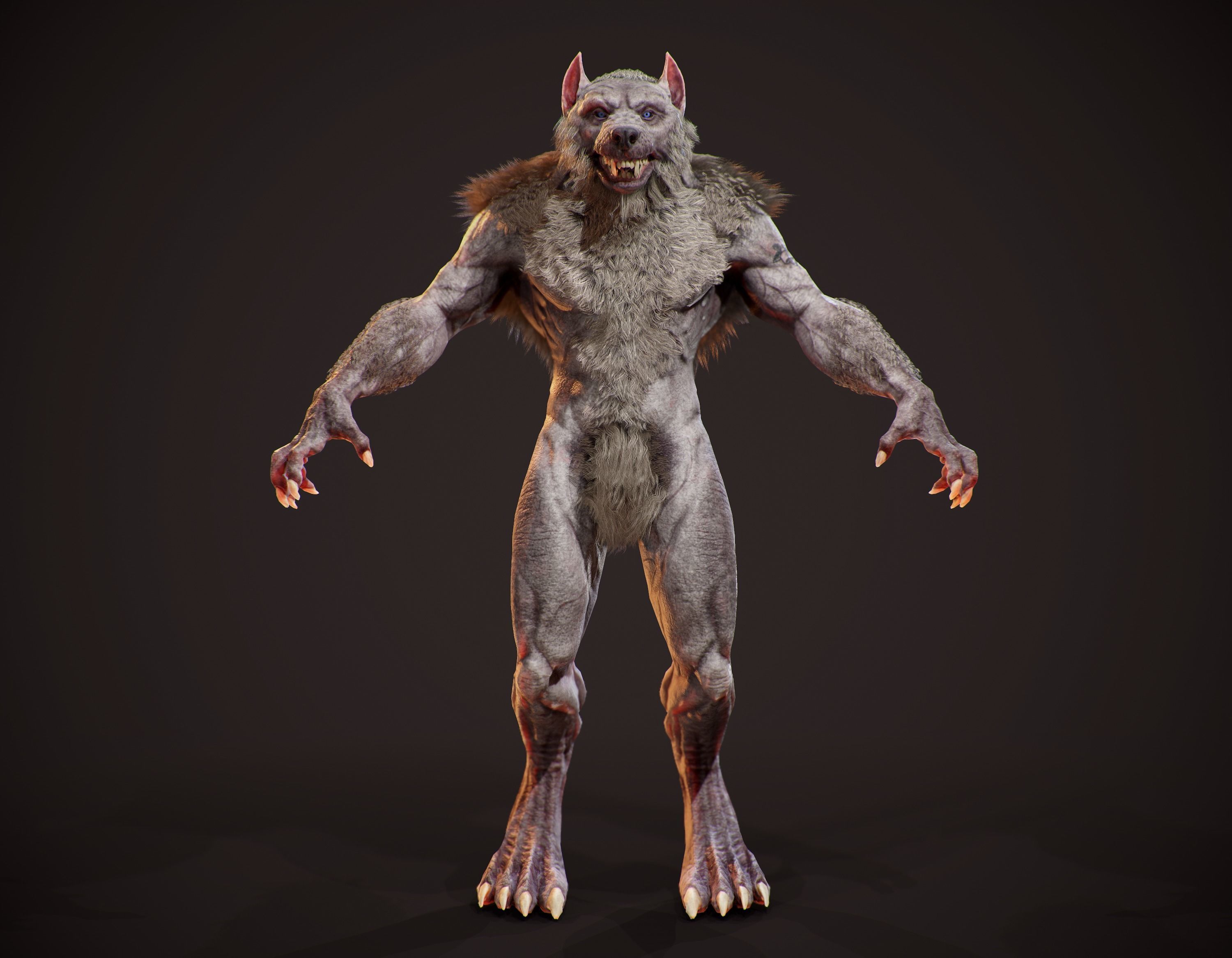 WereWolf Wild Realistic Low-poly 3D model_3