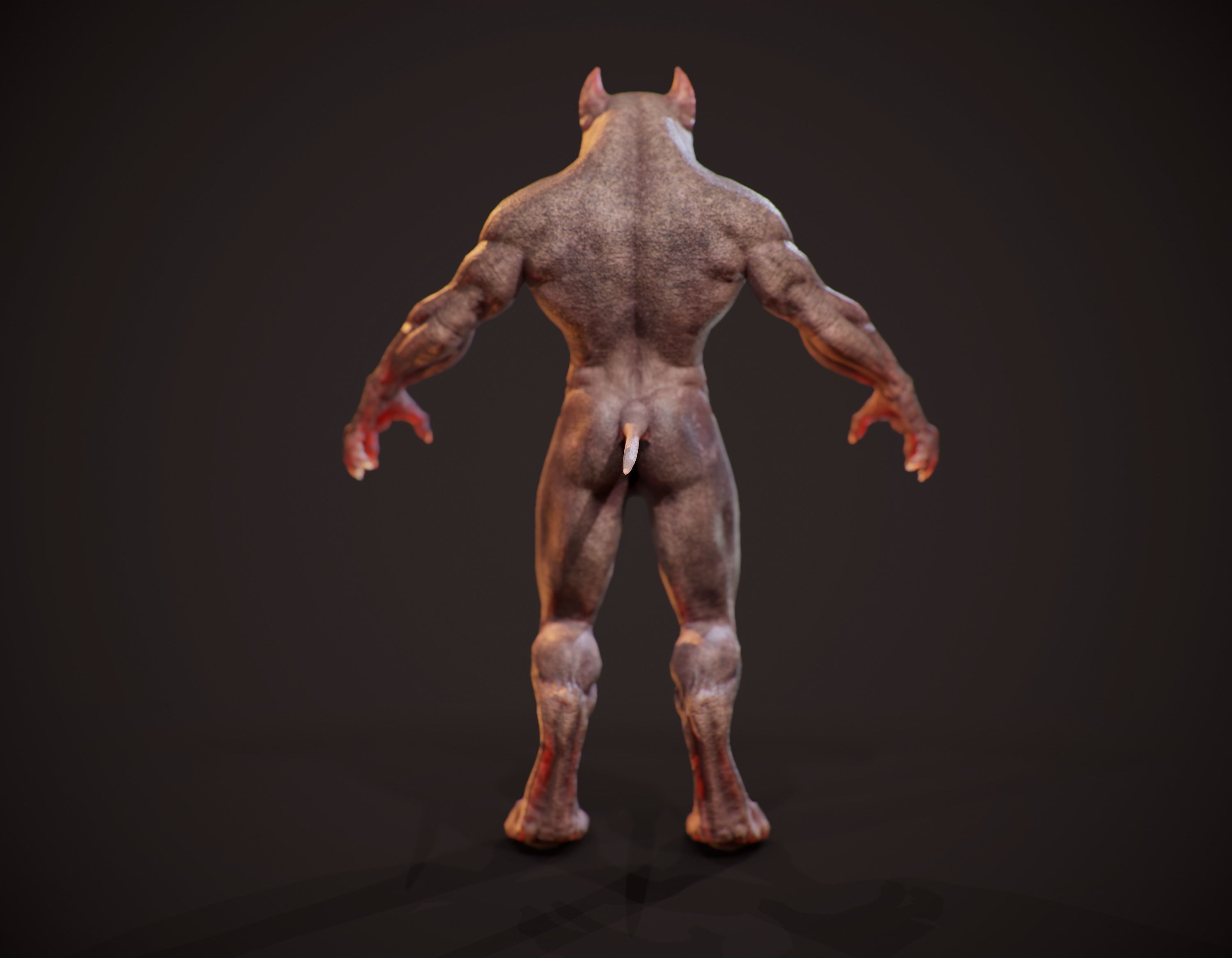 WereWolf Wild Realistic Low-poly 3D model_13