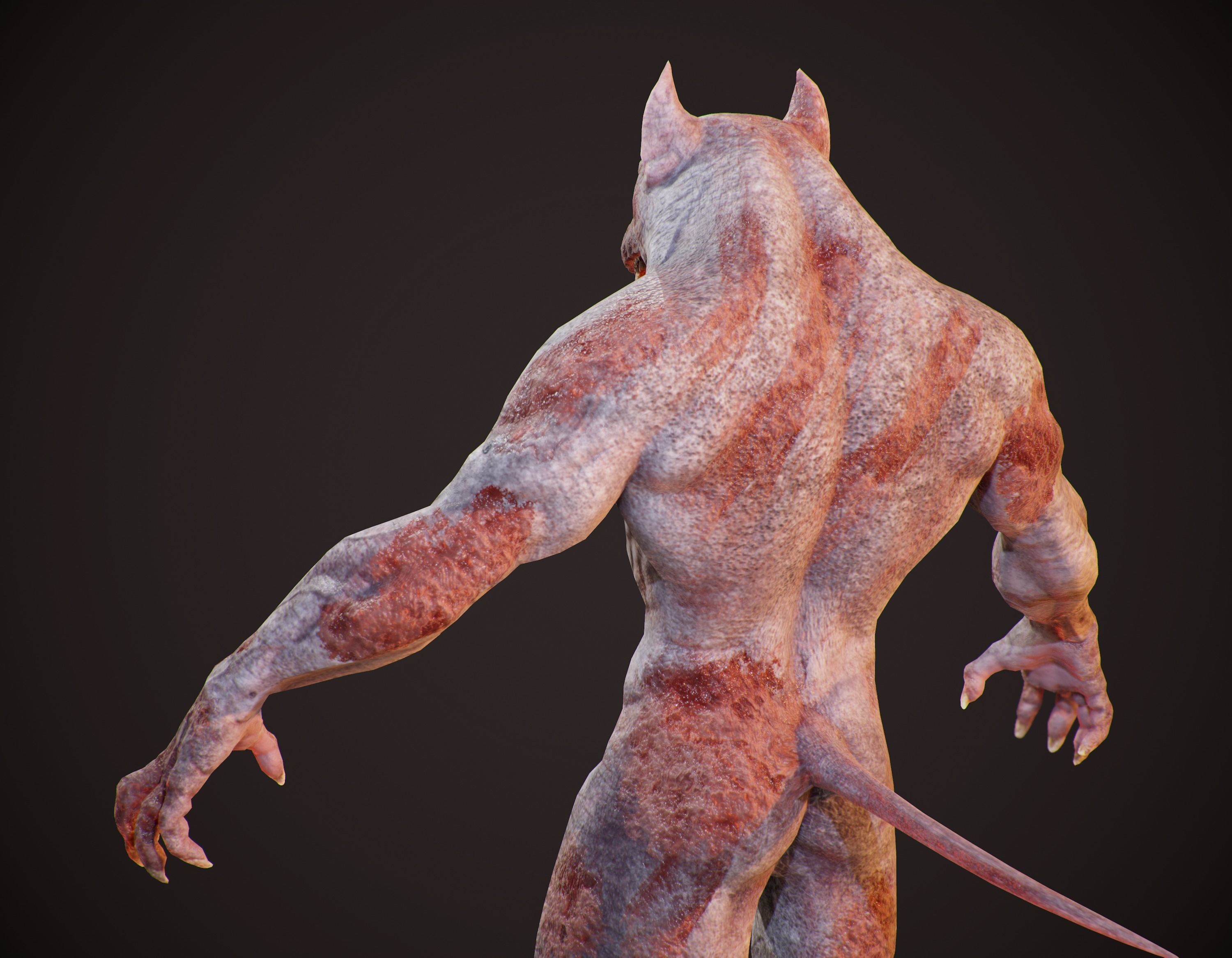WereWolf Wild Realistic Low-poly 3D model_16