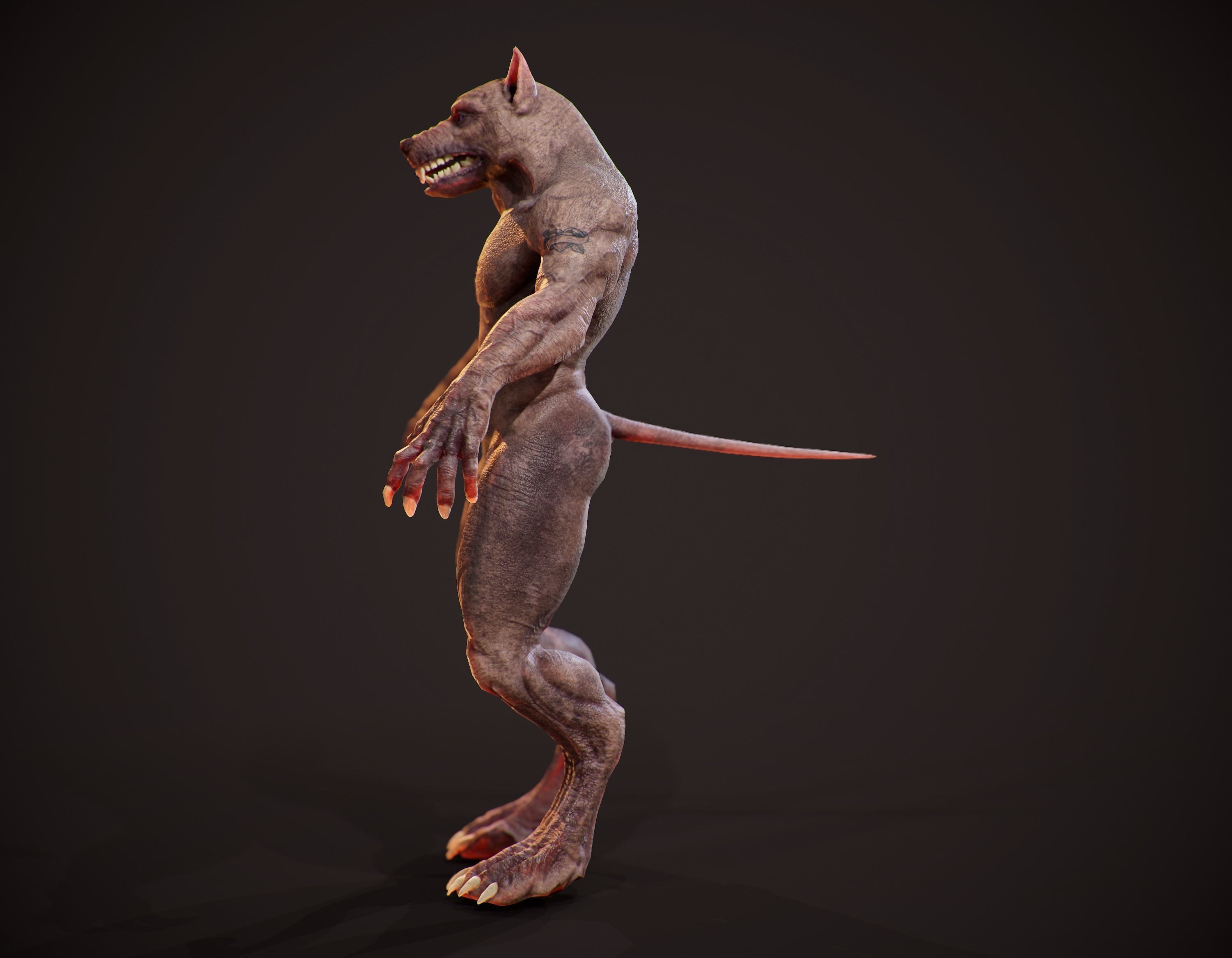 WereWolf Wild Realistic Low-poly 3D model_14