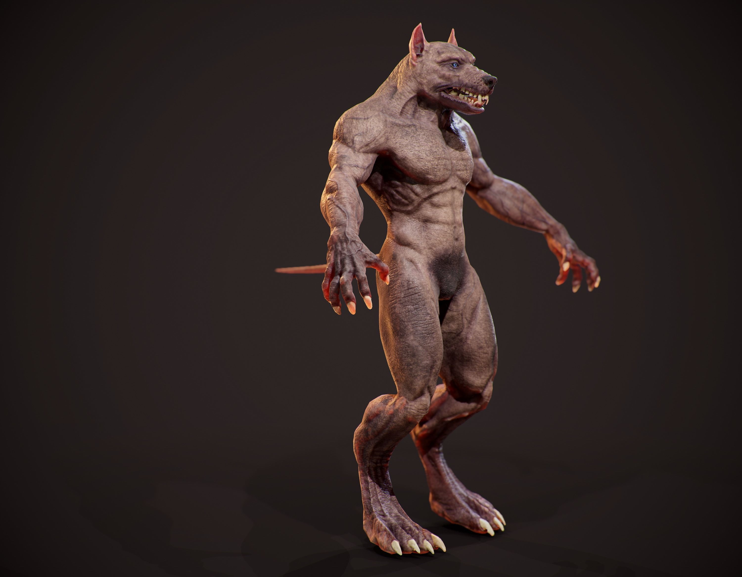 WereWolf Wild Realistic Low-poly 3D model_11