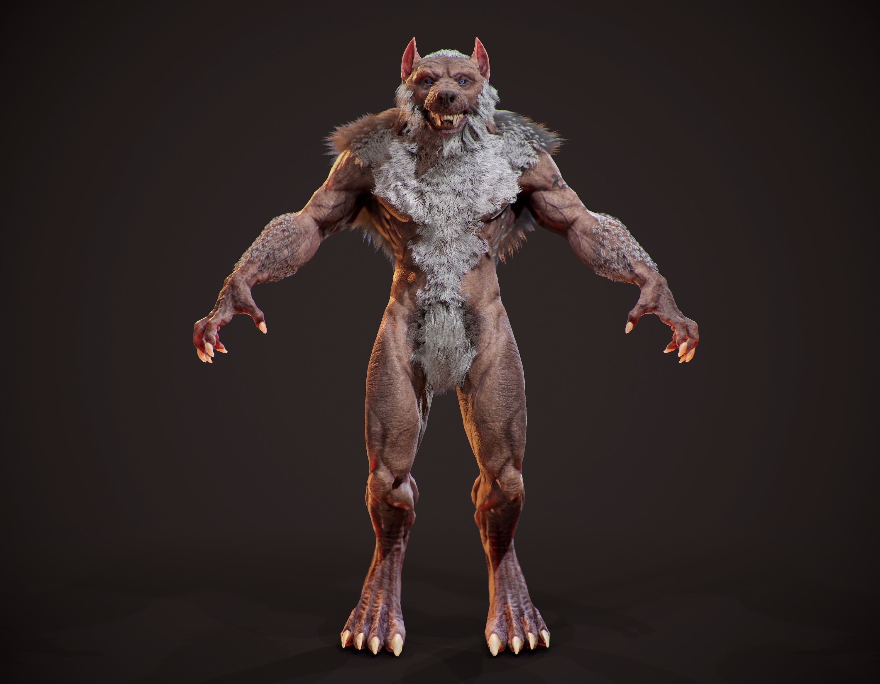 WereWolf Wild Realistic Low-poly 3D model_5