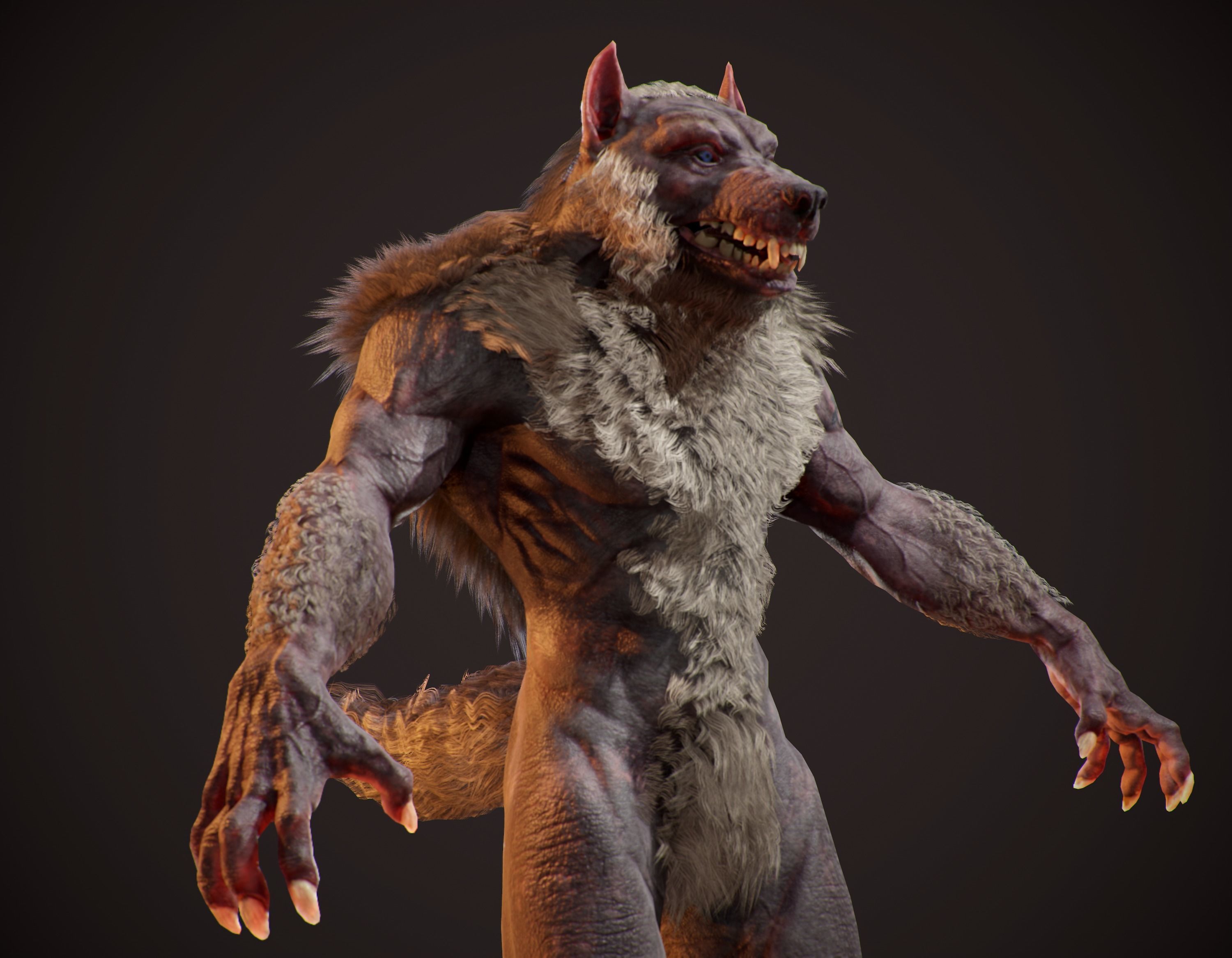 WereWolf Wild Realistic Low-poly 3D model_20