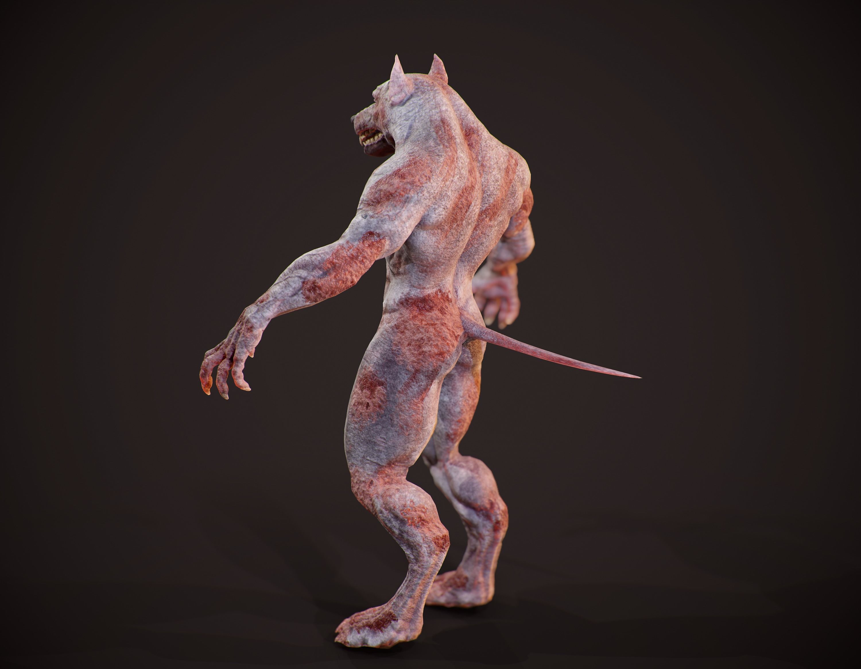 WereWolf Wild Realistic Low-poly 3D model_17