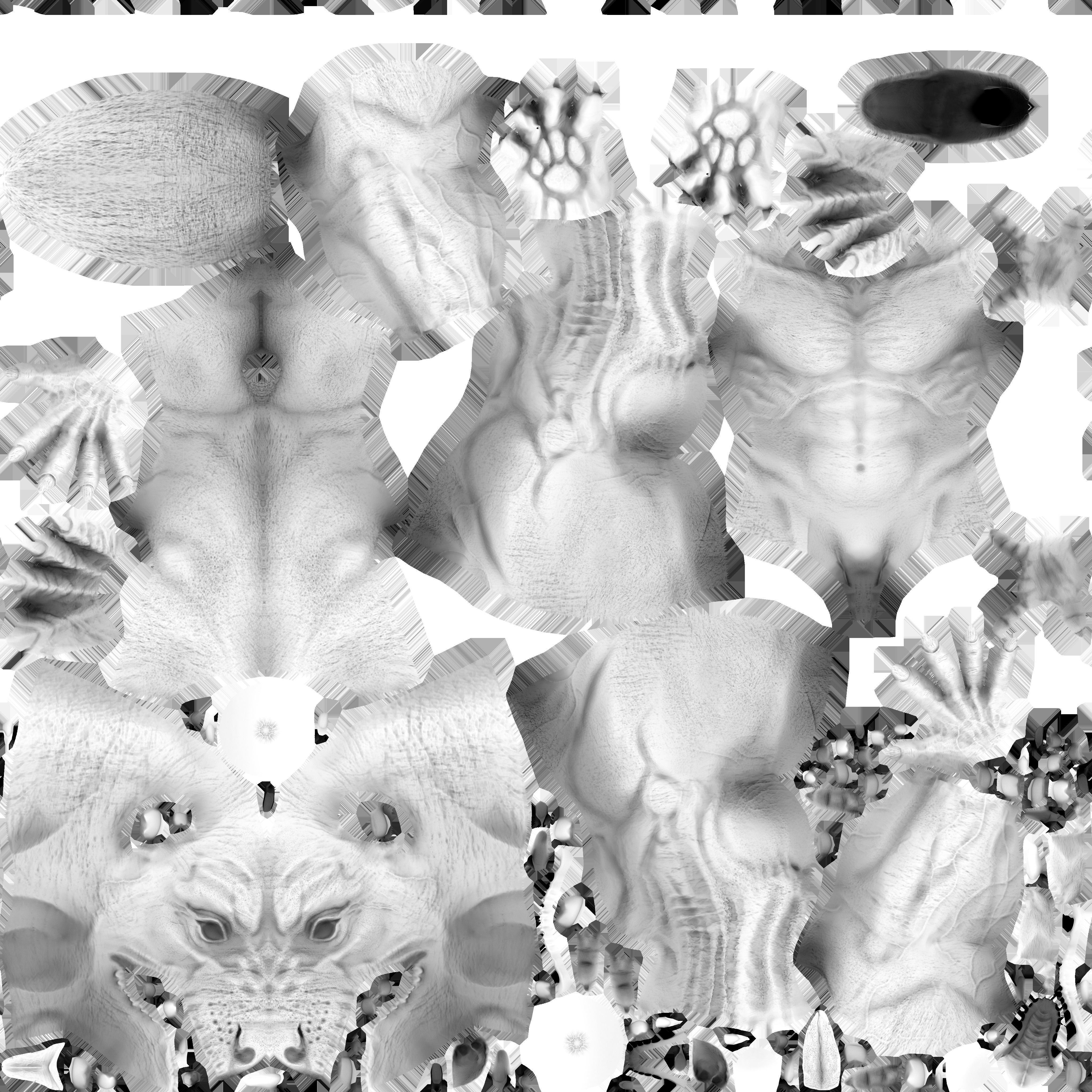 WereWolf Wild Realistic Low-poly 3D model_35