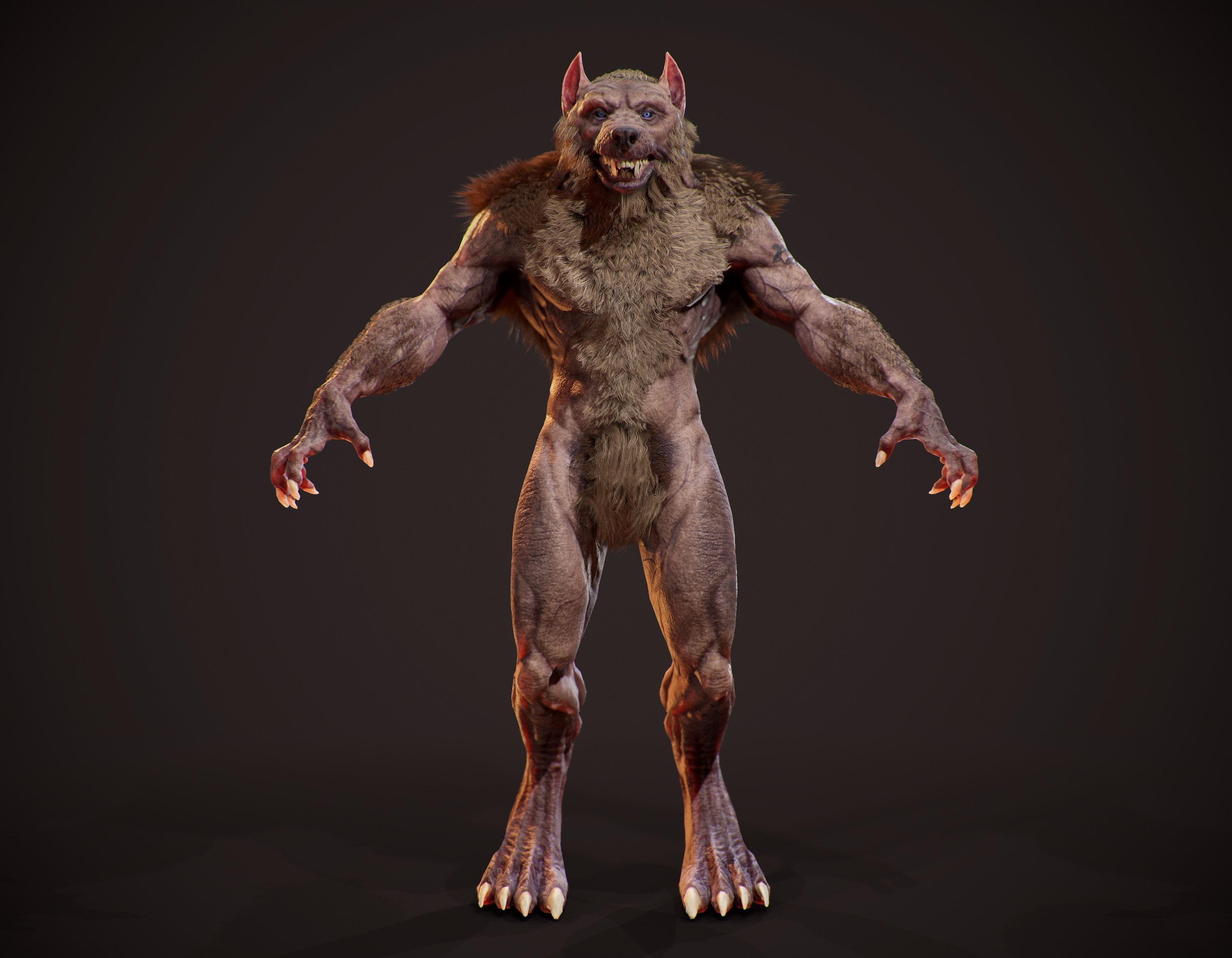 WereWolf Wild Realistic Low-poly 3D model_6