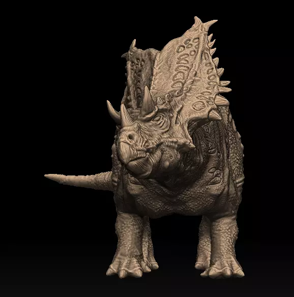 Prehystera Hammer 3D model_0