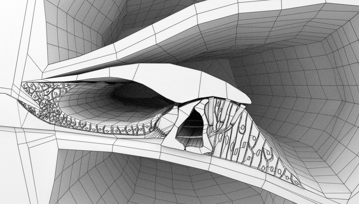 Cochlear duct organ of corti inner ear 3D model_24