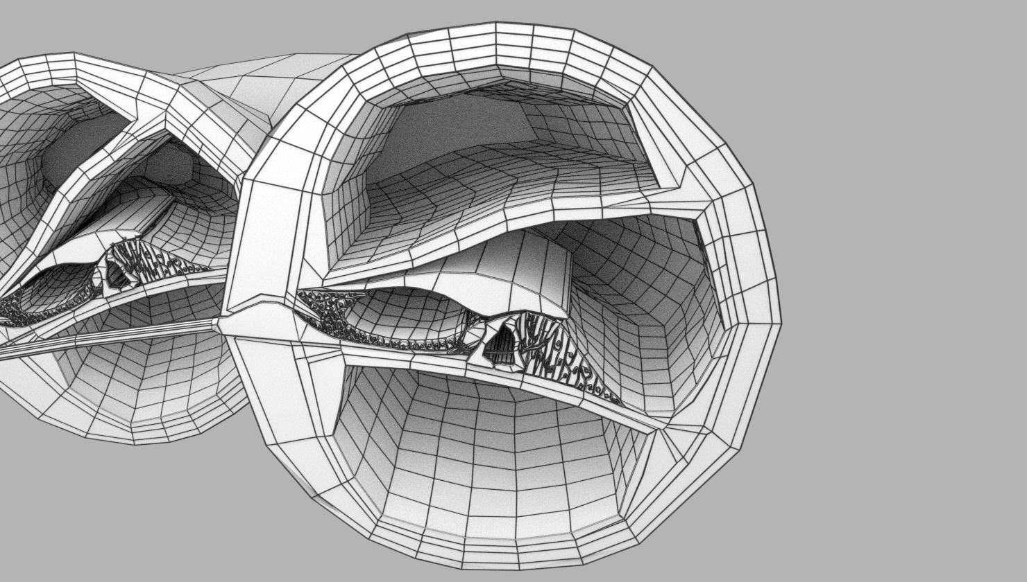 Cochlear duct organ of corti inner ear 3D model_22