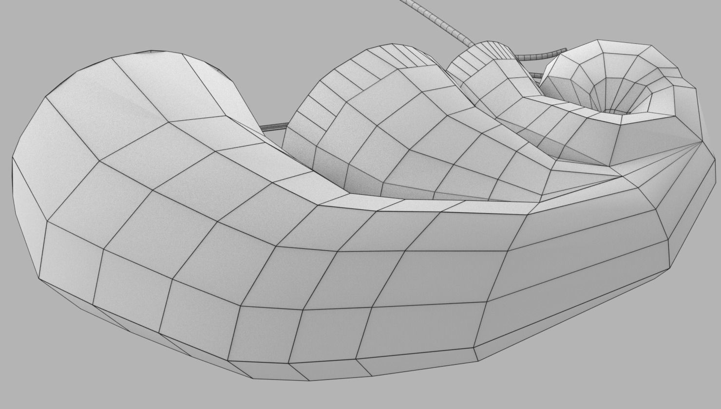 Cochlear duct organ of corti inner ear 3D model_20